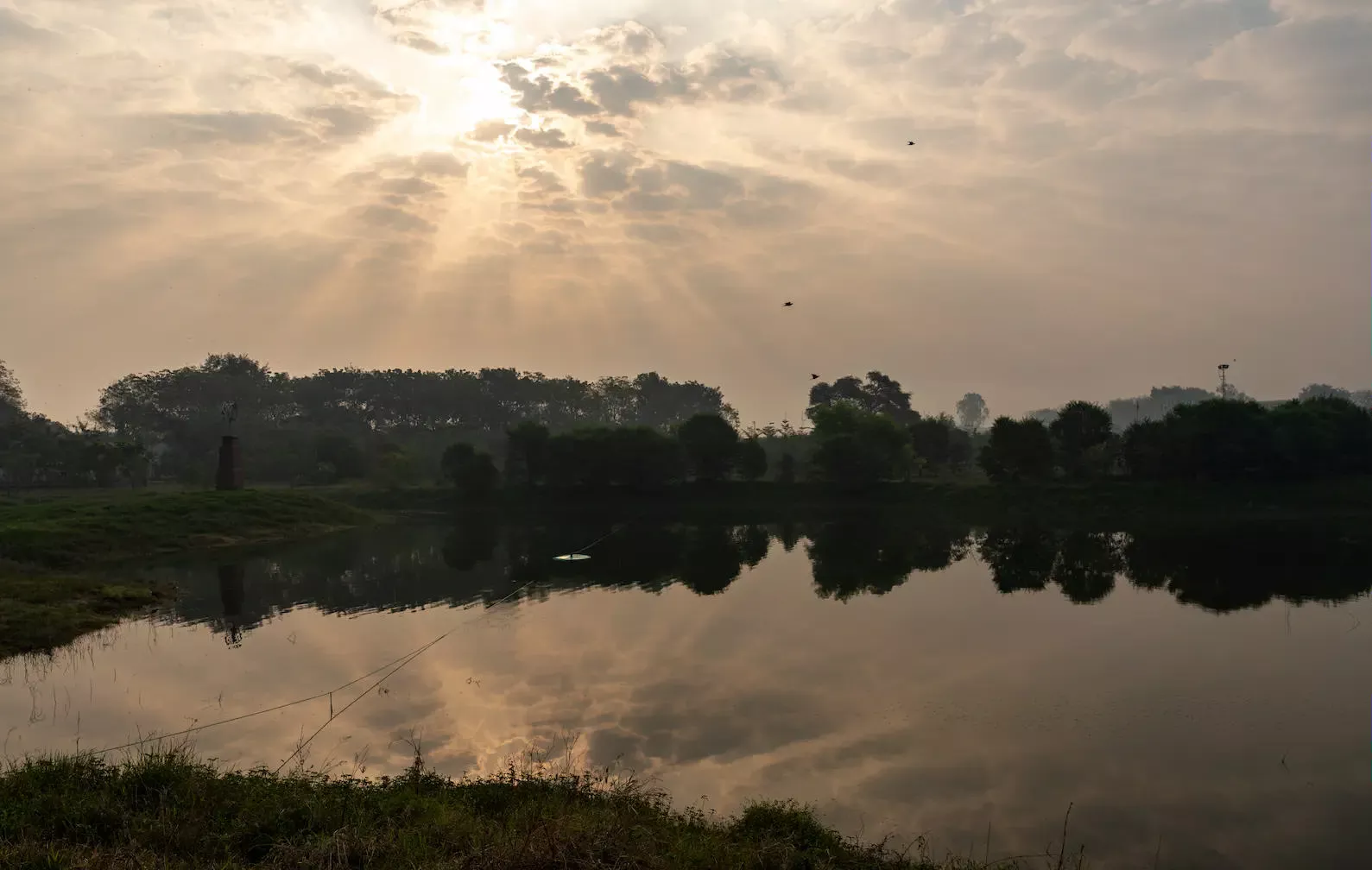 Sustainable landscape design by Sculpting Grounds, India