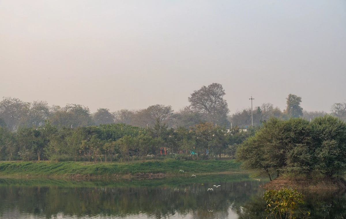 Landscape architecture portfolio — Sculpting Grounds, Ahmedabad