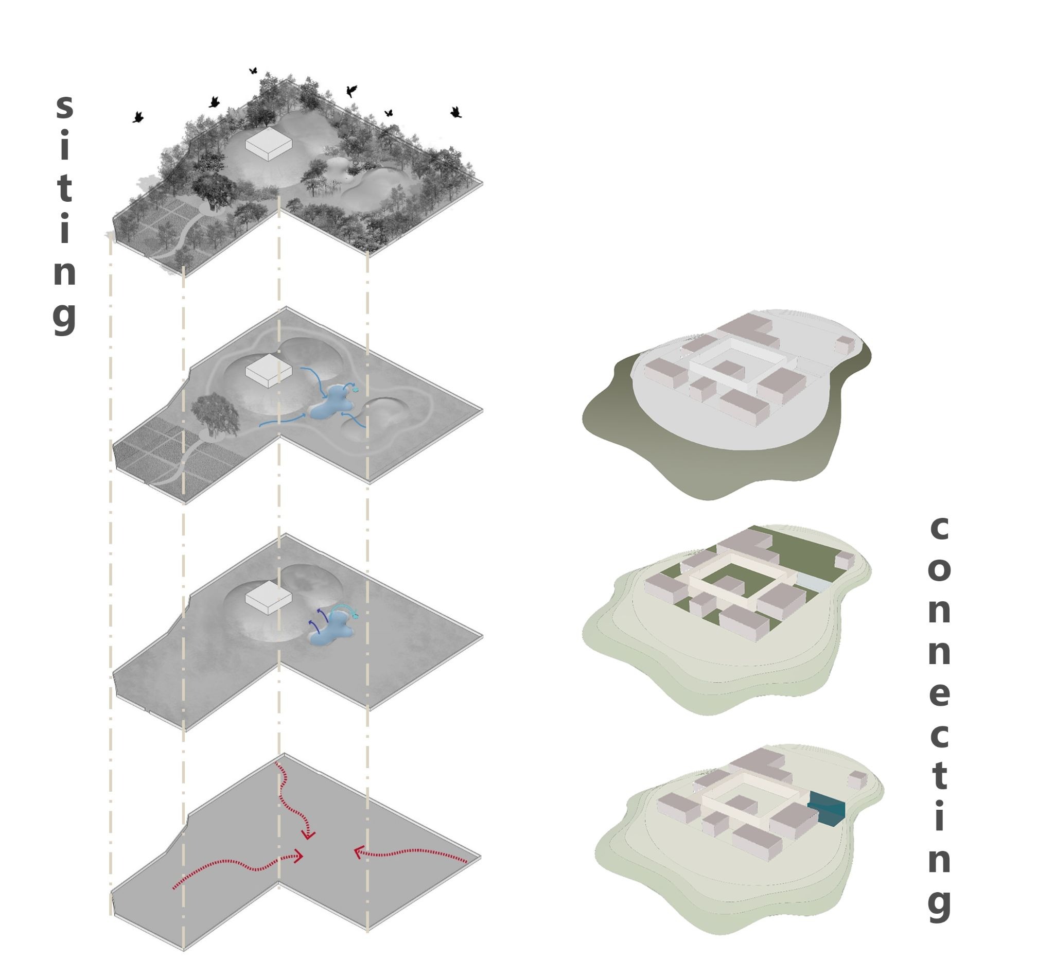 The design process integrates architecture with the landscape, shaping the built form along natural contours to create courtyards and in-between spaces that blur the line between indoors and outdoors. A central open space anchors the layout, unifying interior areas with the landscape through passages that connect all spaces. Water-sensitive design directs runoff into a central water body and recharge well, promoting sustainability. Native and fruit-bearing trees enhance biodiversity, while passage walls act as highlight elements, guiding movement and framing views within this seamless connection of architecture and nature. — Ramjula project detail, Sculpting Grounds