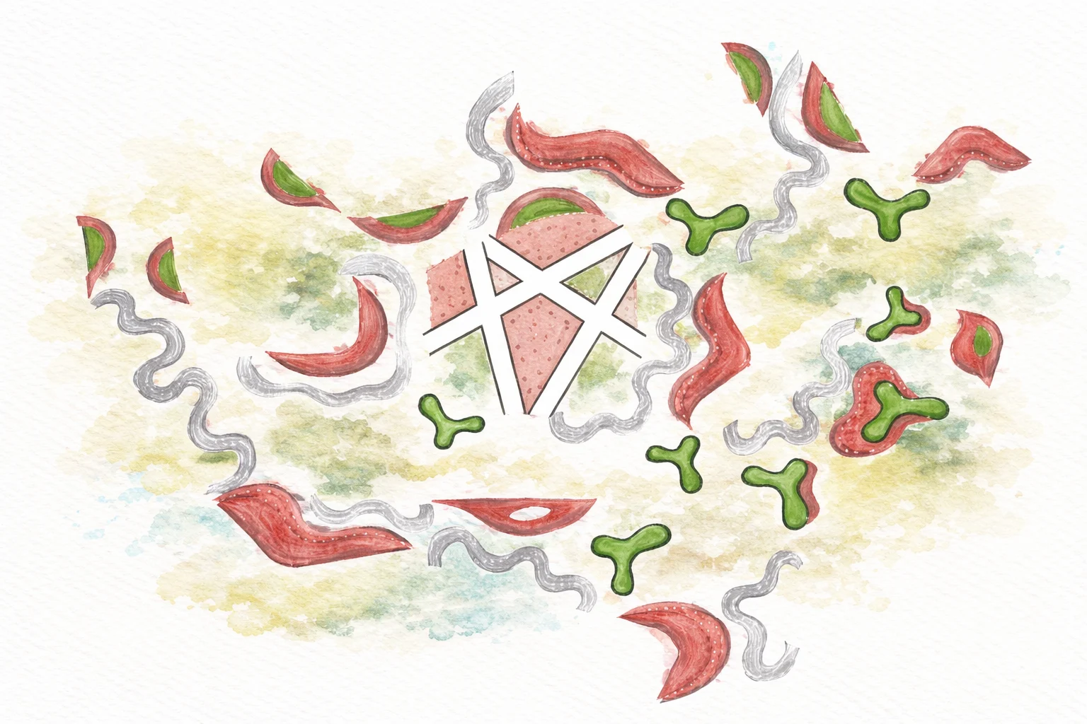 The Workday Commons — landscape architecture project in Siddhpur